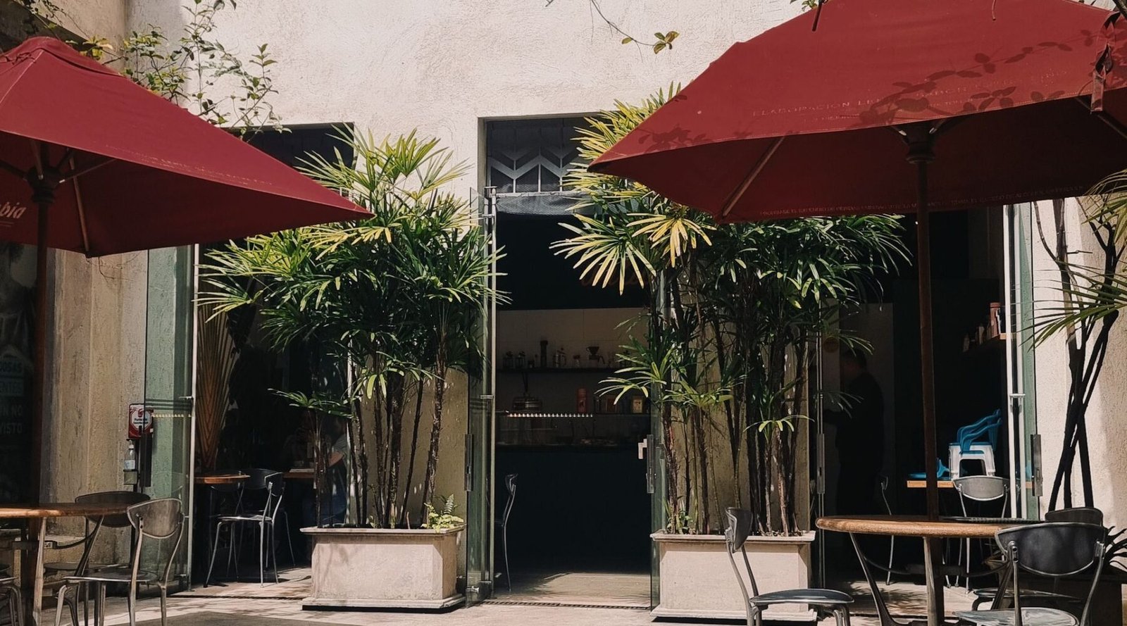 Outdoor café terrace with umbrellas on a tree-lined street in Medellín